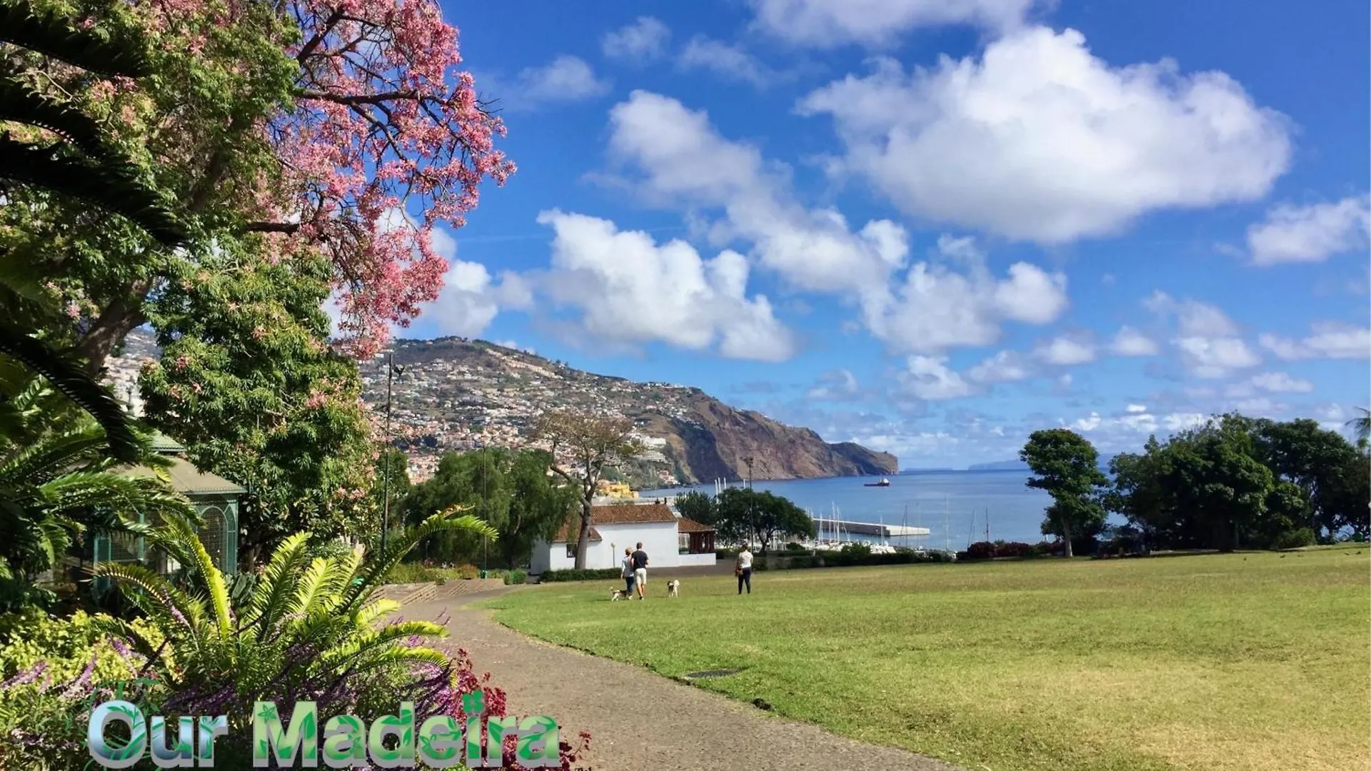 Ourmadeira - Heart Of Old Town II Διαμέρισμα Φουνκάλ Πορτογαλία