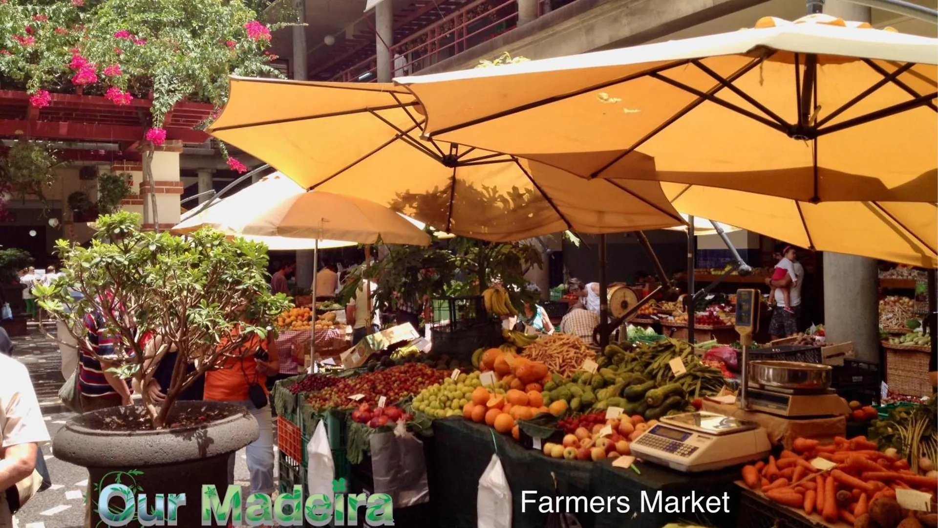 푼샬 Ourmadeira - Heart Of Old Town II 아파트