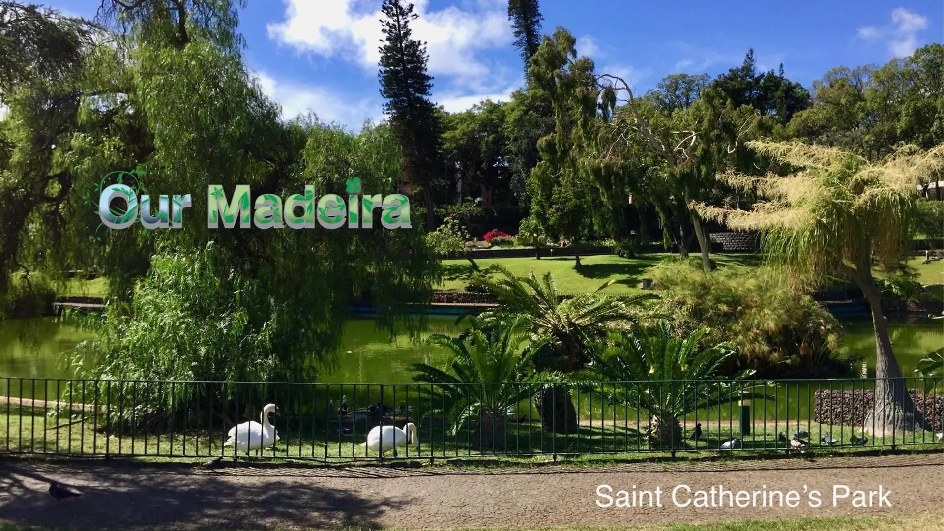 푼샬 Ourmadeira - Heart Of Old Town II 아파트