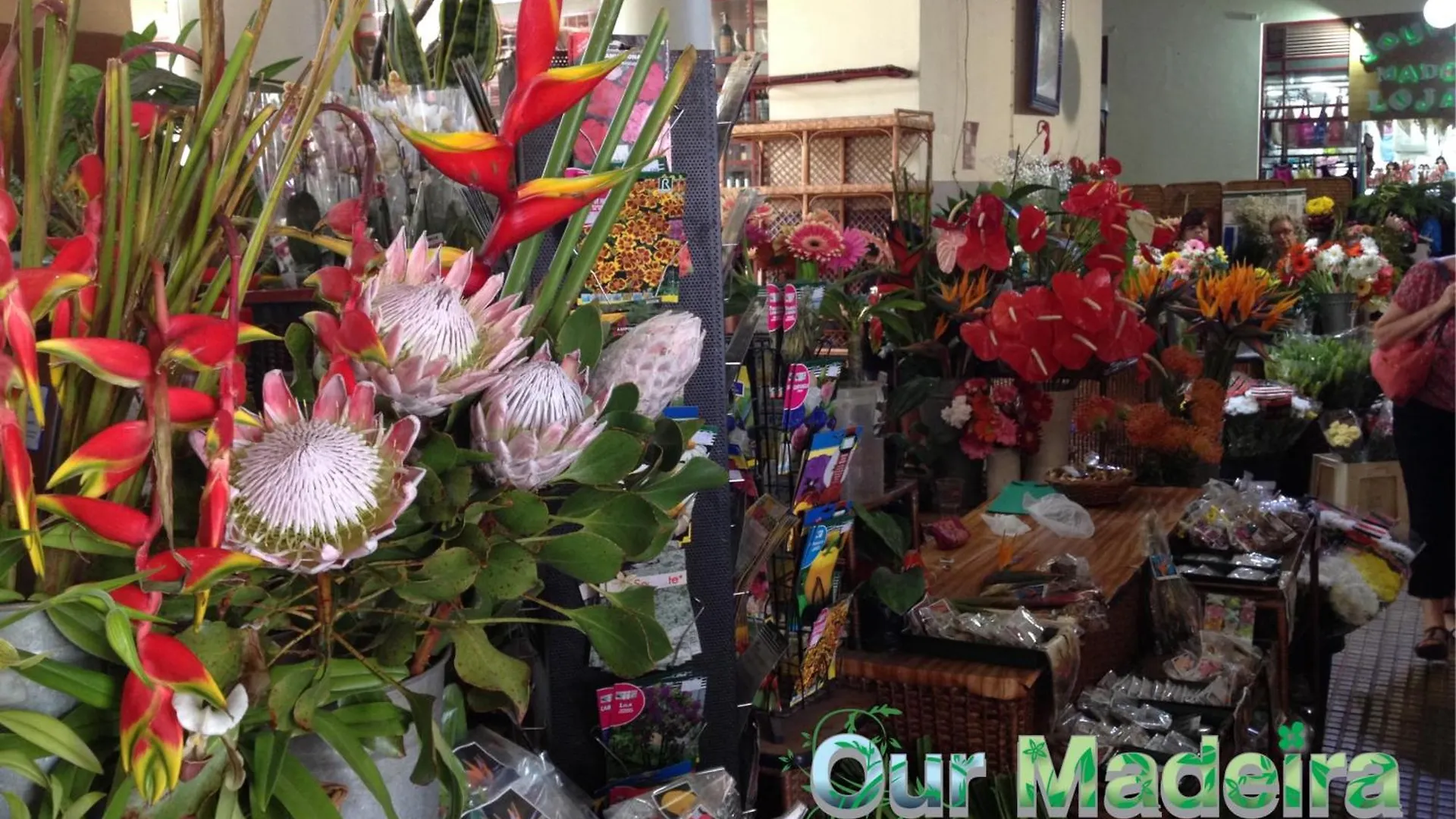 דירות פונשל Ourmadeira - Heart Of Old Town II פורטוגל